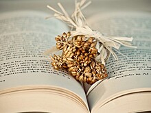 Священник получил книгу с цветами почти 30 летней давности