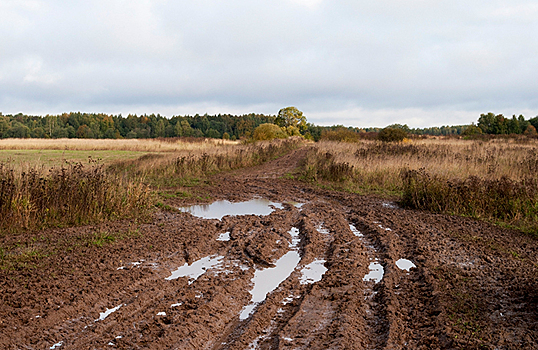 Омские чиновники занялись проблемой дороги, о которой местные жители писали Ангеле Меркель