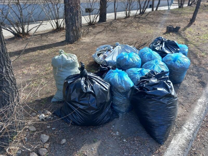 Субботник пройдёт 2 августа в Чите