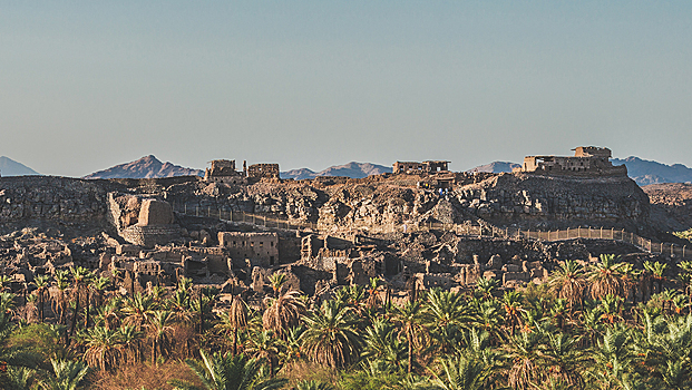 Гигантская древняя крепость найдена в оазисе Аравийской пустыни