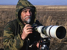 Свидания с леопардом