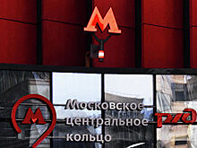 Иностранец выжил после падения под поезд в московском метро
