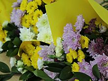 День любви, семьи и верности объединил курчатовцев разных поколений