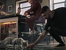 Тимати кормит кота в новой рекламе Whiskas