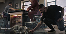 Тимати кормит кота в новой рекламе Whiskas
