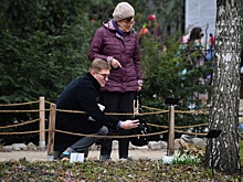За сбор краснокнижных растений и грибов начнут лишать свободы