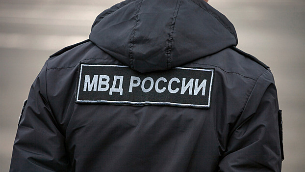 Россиян предупредили о мошенниках, маскирующихся под полицейских