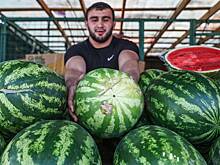 Перечислены правила выбора вкусного арбуза