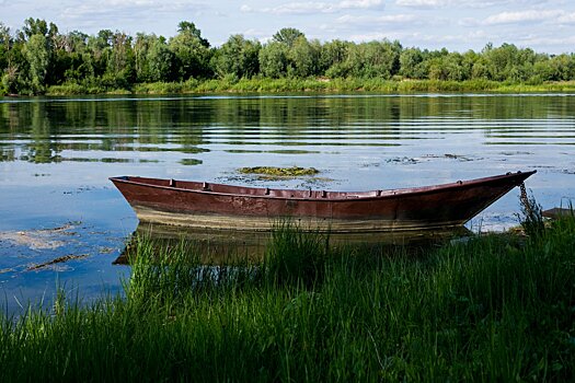 В Ростовской области определили самые популярные места для рыбалки