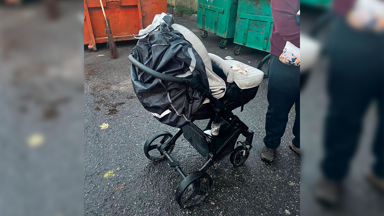 В Петербурге задержали мать, оставившую младенца у мусорных баков