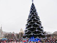 Воронежская елка попала в Книгу рекордов России