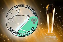 Участники Международной детско-юношеской премии «Экология – дело каждого» из Тамбовской области отмечены специальными призами