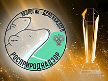 Участники Международной детско-юношеской премии «Экология – дело каждого» из Тамбовской области отмечены специальными призами