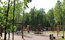 Инициированный Металлоинвестом проект реконструкции парка Железногорска получил поддержку государства