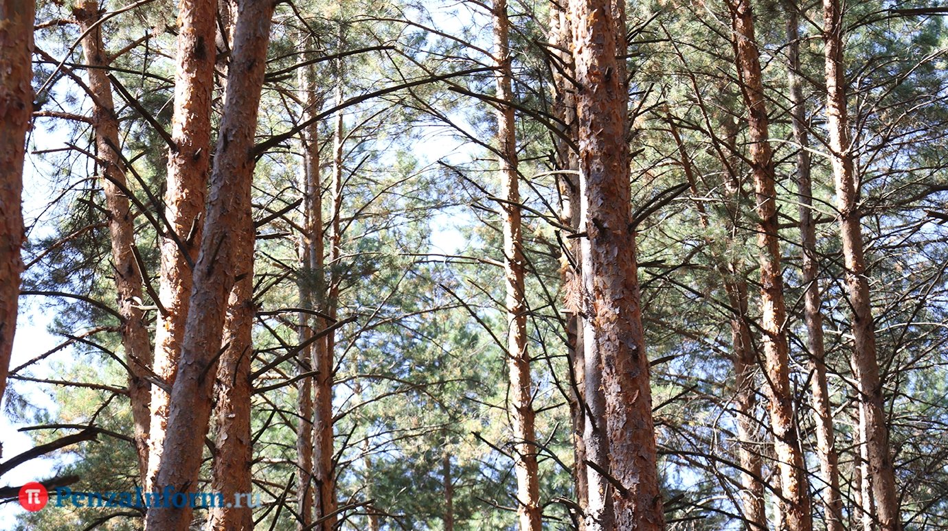 В Ахунах определили площадь зоны, где запретят стройки