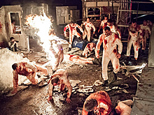 Роскино представило в Торонто «Хардкор», «Мафию» и «Экипаж»