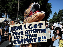 Обсуждение глобальной проблемы назвали «салатом из чепухи»