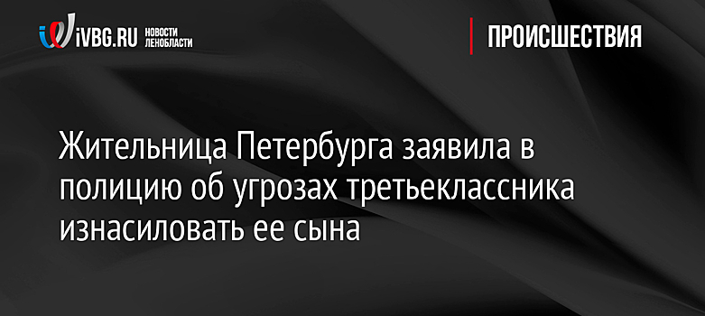 Жительница Петербурга заявила в полицию об угрозах третьеклассника изнасиловать ее сына