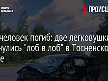 Один человек погиб: две легковушки столкнулись "лоб в лоб" в Тосненском районе