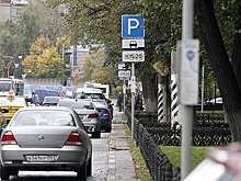 Сведения о нарушителях правил платной парковки в Петербурге предложили сделать открытыми