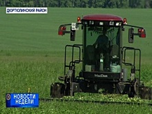 Рустэм Хамитов потребовал у сельчан ускорить заготовку кормов для животных. Итоги недели