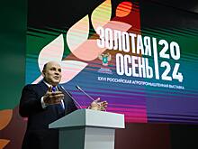 На пленарном заседании выставки «Золотая осень – 2024» обсудили пути достижения технологического лидерства