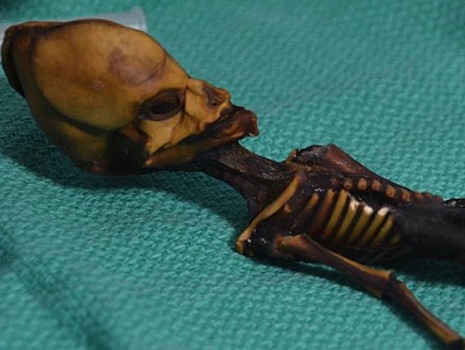 Исследователи провели секвенирование генома скелета из Атакамы