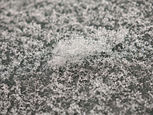 В Самарской области 4 декабря ожидается снег с дождем и гололед