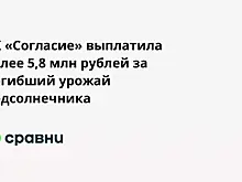 СК «Согласие» выплатила более 5,8 млн рублей за погибший урожай подсолнечника