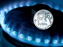 Депутат ГД Чаплин разъяснил правила бесплатного подключения газа к участку