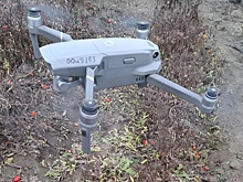 Под Астраханью для выявления сорняков на сельхозполях используют БПЛА