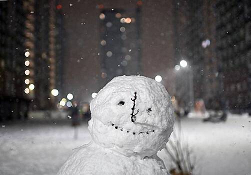 В Москве последнего снеговика обнаружили с грустным лицом