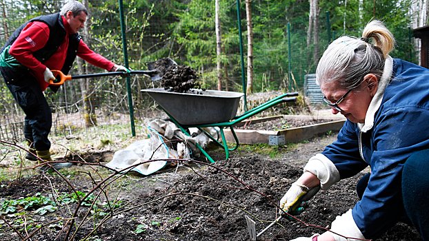 Ученые объяснили, как подготовить огород к новому сезону