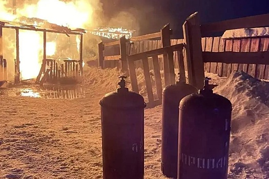 Количество жертв пожара в конюшне под Екатеринбургом увеличилось
