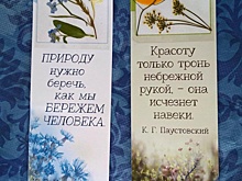 Секреты изготовления гербария раскрыли на Кузьминской улице