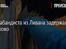 Контрабандиста из Ливана задержали в Пулково