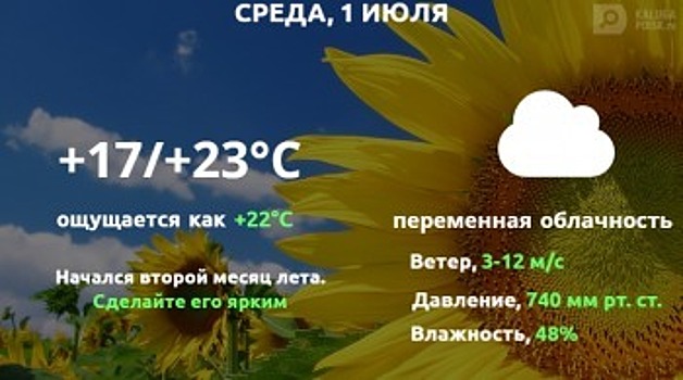 Прогноз погоды в Калуге на 1 июля