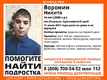 Кузбасские волонтеры объявили поиски отстающего в развитии мальчика