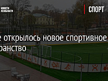 В Луге открылось новое спортивное пространство