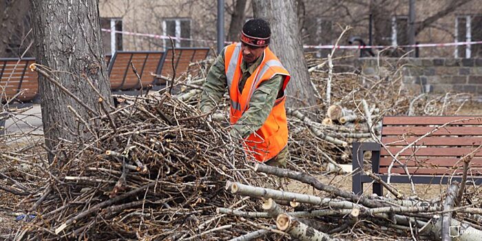«Жилищник» обезопасил сломанное дерево во дворе на 8-ой улице Текстильщиков