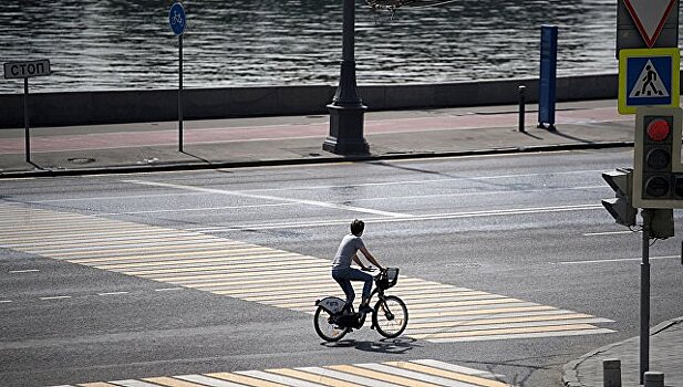 Минтранс рекомендовал регионам создать велотранспортную инфраструктуру