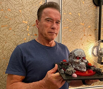 Арнольд Шварценеггер рассказал о своих отношениях с зятем