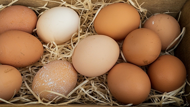 В Иране предложили экспортировать яйца в Россию