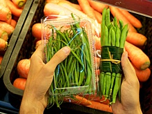 Эколог Лакустова: Есть ряд простых правил в борьбе с экологической катастрофой