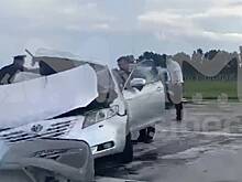 Автомобиль чиновника попал в смертельную аварию на российской трассе