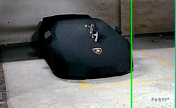 Кошка повредила Lamborghini и была объявлена в розыск
