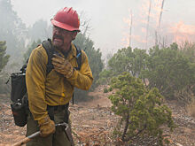 Лучшие фильмы-2017, которые вы могли пропустить