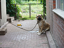 Кемеровская семья получила большой новый дом вместо старого "под снос"