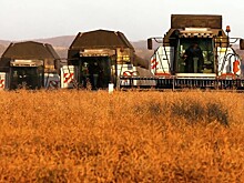 В Удмуртии планируют увеличить экспорт сельхозпродукции в 2020 году