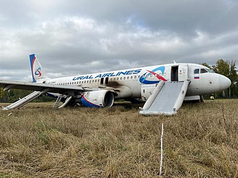 Эксперты критикуют действия экипажа самолета, севшего в поле под Новосибирском